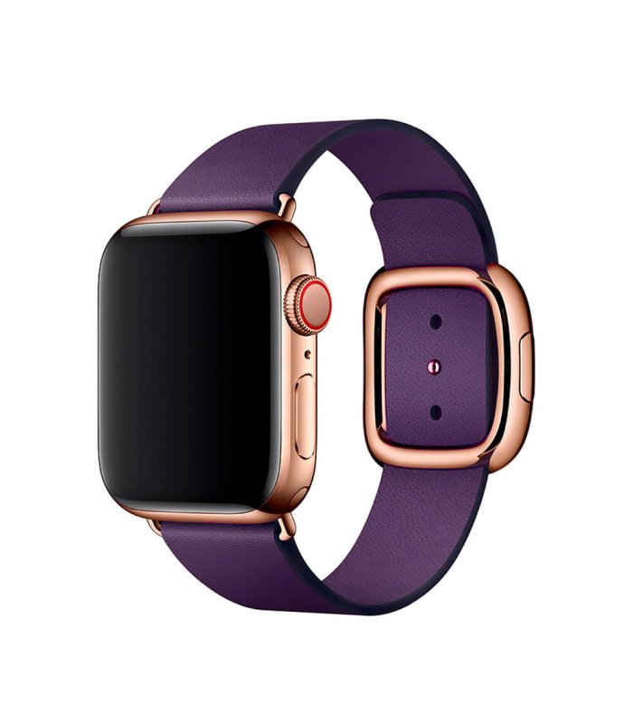 straps-leather-3 Aubergine Modern Buckle - 图片 1